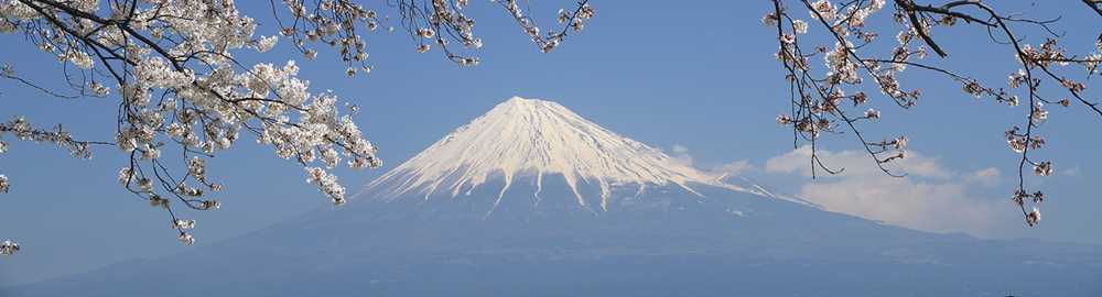 Mt, Fuji